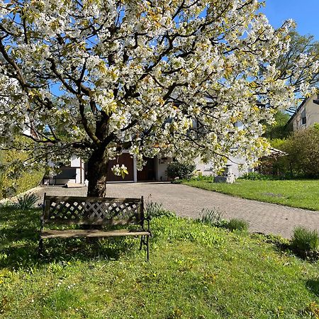 Ferienwohnung Am Kirschbaum 울딘겐물호펜 외부 사진
