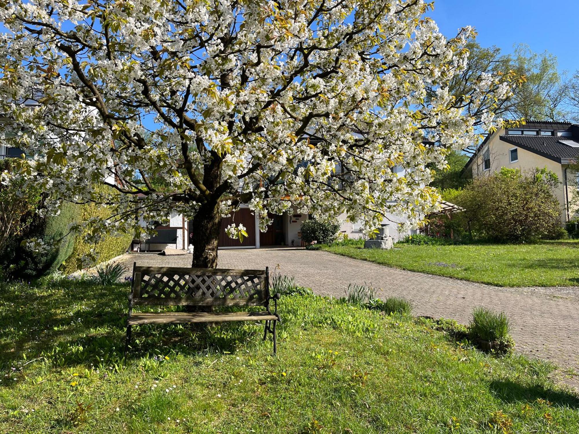 Ferienwohnung Am Kirschbaum 울딘겐물호펜 외부 사진